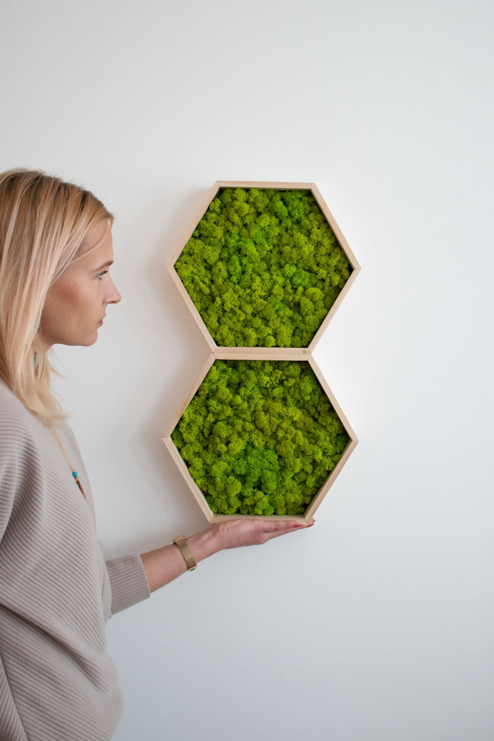 The boss with 2 hexagon hive products - spring green color